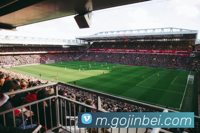 金贝娱乐城平台生态图